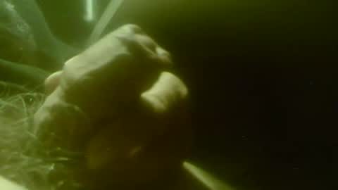 zaboski4 online show from April 2026 07:23:01 AM