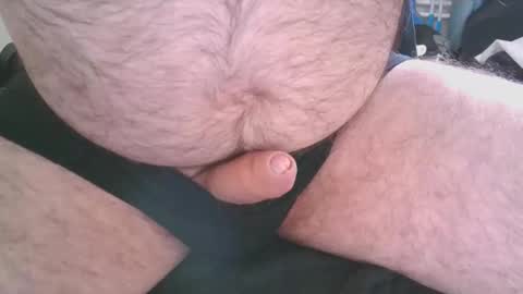 zeebonkie online show from March 2026 03:49:01 PM