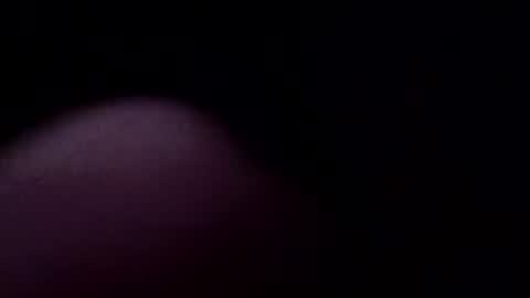 Snapshot of zigor13 chatting on January 2026 04:48:02 AM zigor13 online show from January 2026 04:48:02 AM