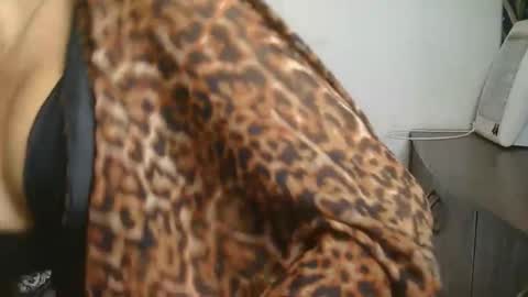 Ziyaa online show from February 2026 04:13:01 AM