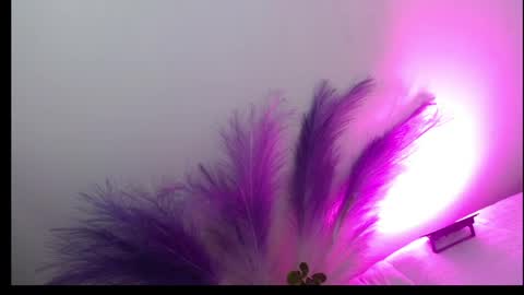 Sam Make me wet please  online show from April 2026 09:42:01 PM