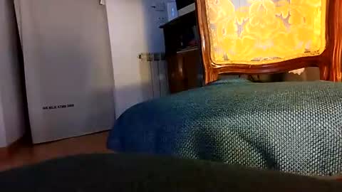 Zomas online show from July 2026 06:44:02 AM