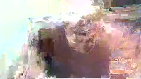 zwanga1523 online show from April 2026 11:53:02 AM