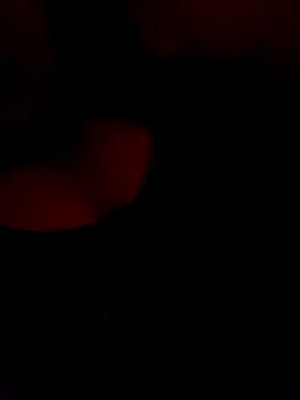 Snapshot of FerLu8 chatting on February 2026 04:00:01 AM FerLu8 online show from February 2026 04:00:01 AM