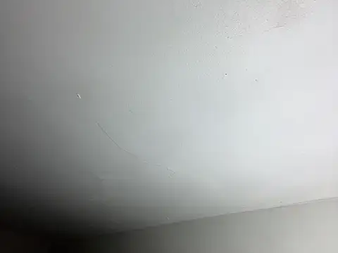 leanjamesdean online show from March 2026 04:29:02 AM