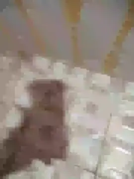 Sanjaymartin29 online show from January 2025 01:37:02 AM