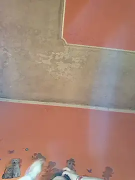 ducicsajsziii online show from April 2026 07:55:01 AM