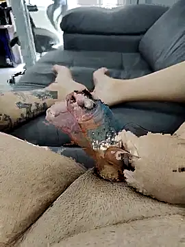 pete 97 online show from September 2025 03:02:02 PM