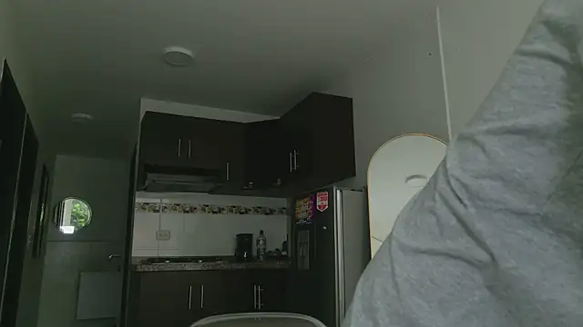 Snapshot of grey___27 chatting on June 2026 11:44:02 AM grey 27 online show from June 2026 11:44:02 AM