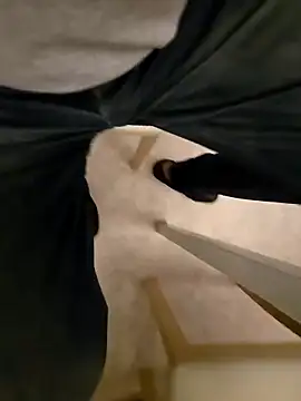 Lorent6969 online show from April 2026 04:29:01 AM