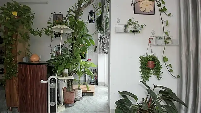 Oliver Nl online show from March 2026 04:07:02 AM