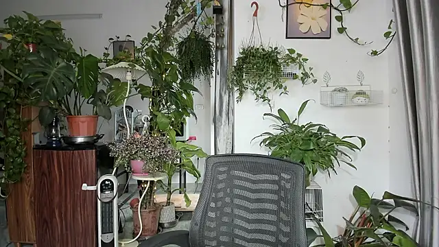 Oliver Nl online show from March 2026 05:24:01 AM