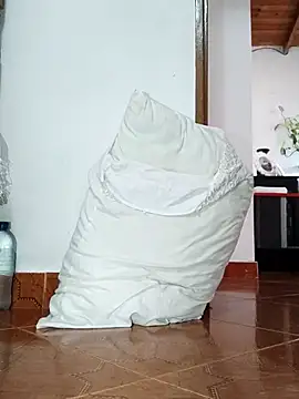 Juanroom online show from April 2026 09:05:01 PM