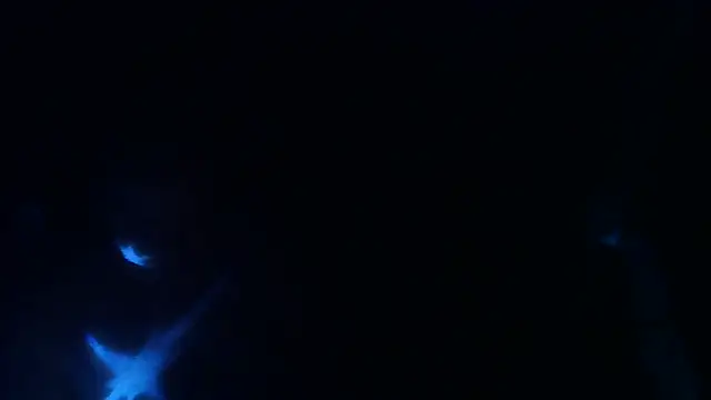 perversalus online show from May 2026 01:22:01 AM