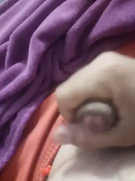 Snapshot of dredre1069 chatting on February 2026 03:05:01 AM dredre1069 online show from February 2026 03:05:01 AM