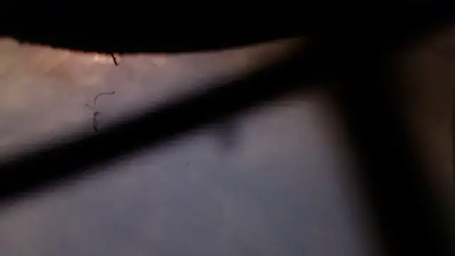 Snapshot of Cordt30 chatting on February 2026 04:46:01 PM Cordt30 online show from February 2026 04:46:01 PM