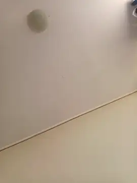 zafka 9 online show from April 2026 04:07:01 PM