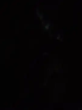 SassyAss Coco online show from April 2026 05:54:01 AM