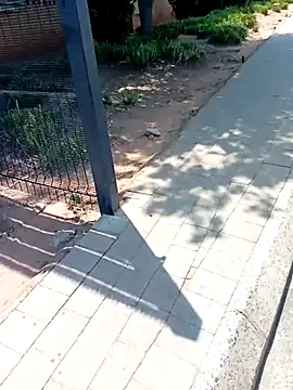 KinkyYours online show from October 2025 10:24:01 AM