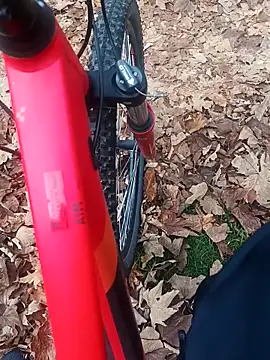 Snapshot of maleesa chatting on November 2025 06:27:01 AM maleesa online show from November 2025 06:27:01 AM