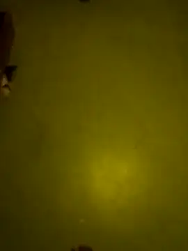 Snapshot of maleesa chatting on January 2026 06:21:02 PM maleesa online show from January 2026 06:21:02 PM