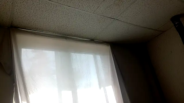 Armyexhibitionistvet online show from April 2026 07:22:01 PM