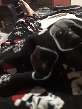 Snapshot of mivergateculeabienrico chatting on April 2026 07:19:01 AM mivergateculeabienrico online show from April 2026 07:19:01 AM