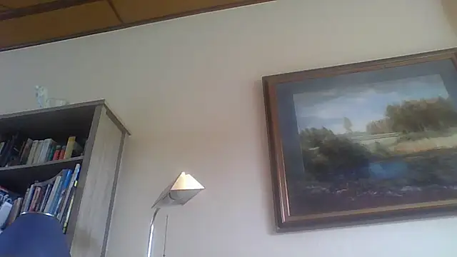 Snapshot of Alain-Bertrand chatting on April 2026 10:05:01 AM Alain-Bertrand online show from April 2026 10:05:01 AM