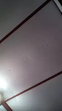 xDestineeXX online show from December 2024 02:31:02 AM