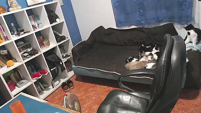 ravingr4d4 online show from November 2025 10:01:01 PM