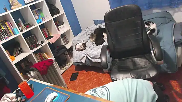 ravingr4d4 online show from February 2026 11:25:01 PM