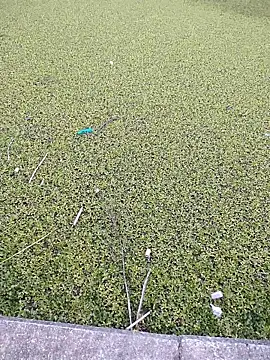 Eduardoxxx51 online show from December 2025 10:19:01 PM