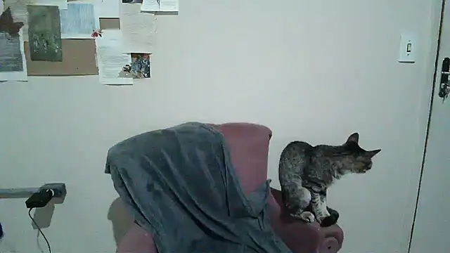 bbyedarling online show from November 2025 01:50:02 AM