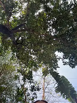 JessiMur online show from February 2026 03:44:02 AM