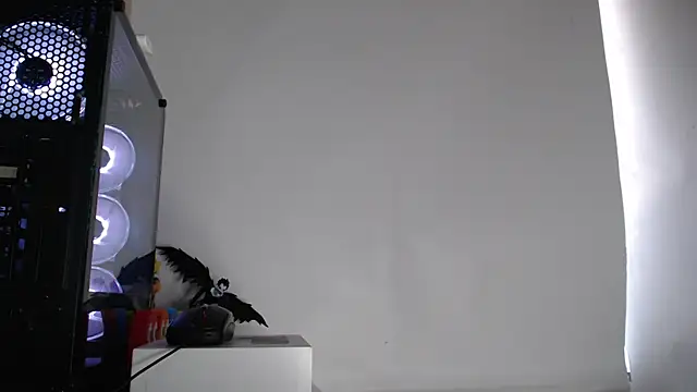 harold 18  online show from October 2025 06:15:02 PM