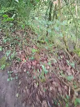 FreezingTie850 online show from April 2026 10:10:01 AM