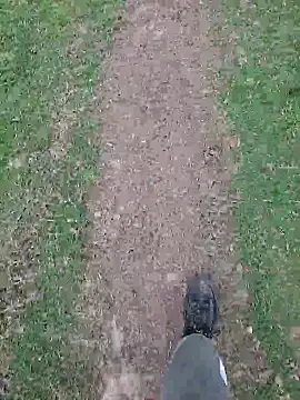 FreezingTie850 online show from April 2026 09:59:01 AM