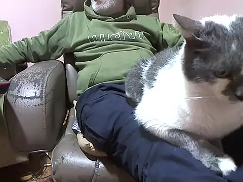 zormen355 online show from April 2026 05:22:02 PM