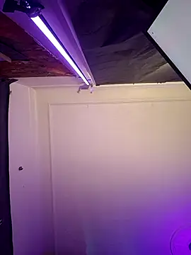 Tony Torrente online show from March 2026 07:55:02 AM