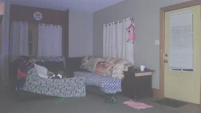 Snapshot of Smurfschmidt chatting on March 2026 03:13:01 AM Smurfschmidt online show from March 2026 03:13:01 AM