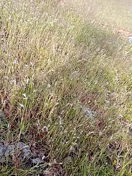 sexoooj online show from October 2025 10:37:01 AM