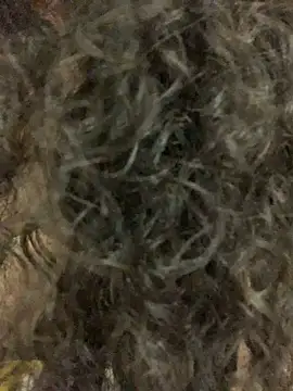 Antoniart  online show from February 2025 06:54:01 AM