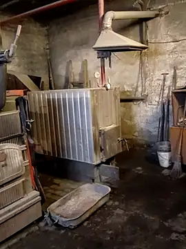 MityaXLoves online show from April 2026 06:44:02 PM