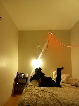 blackhotpartyts online show from April 2026 03:07:02 AM