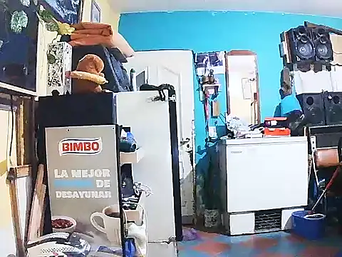 DiAntool online show from January 2026 05:44:01 AM