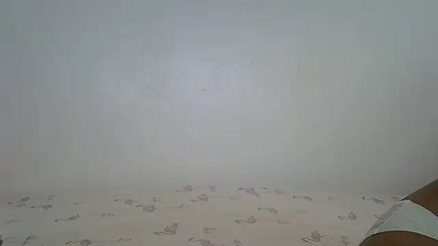 laetitia  online show from April 2026 12:18:02 PM