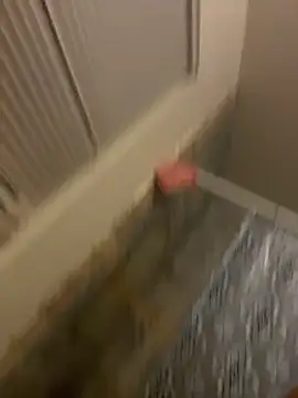 prettlovely14 online show from February 2026 04:42:01 AM