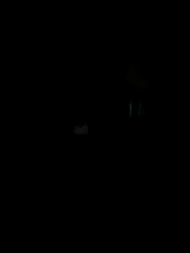 Off the Lesh online show from October 2025 07:19:01 AM