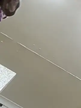 Off the Lesh online show from March 2026 03:52:01 PM