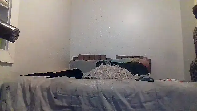 Snapshot of AllLeggs chatting on March 2026 03:33:01 AM AllLeggs online show from March 2026 03:33:01 AM